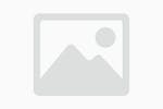 Flower and Shake icon